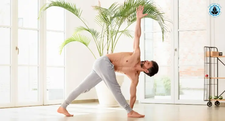 parivrtta trikonasana (revolved triangle pose)