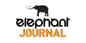 132-1327394_elephant-journal-elephant-journal-logo-removebg-preview